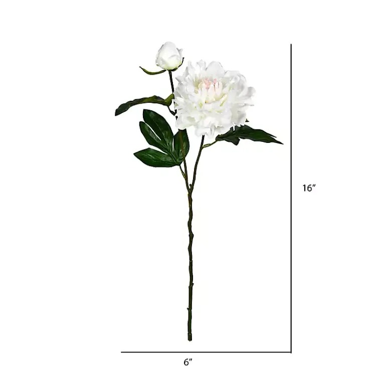 Stems & Bouquets>Kirklands Home Cream Blooming Peony Stems, Set of 6 Ivory