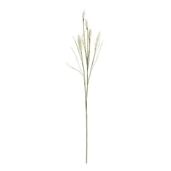 Stems & Bouquets>Kirklands Home Cream Foxtail Sprays, Set of 6 White