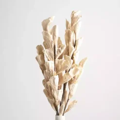 Stems & Bouquets>Kirklands Home Cream Shell Leaf Stem Ivory