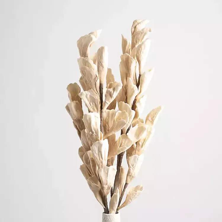Stems & Bouquets>Kirklands Home Cream Shell Leaf Stem Ivory