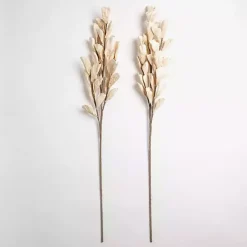 Stems & Bouquets>Kirklands Home Cream Shell Leaf Stem Ivory