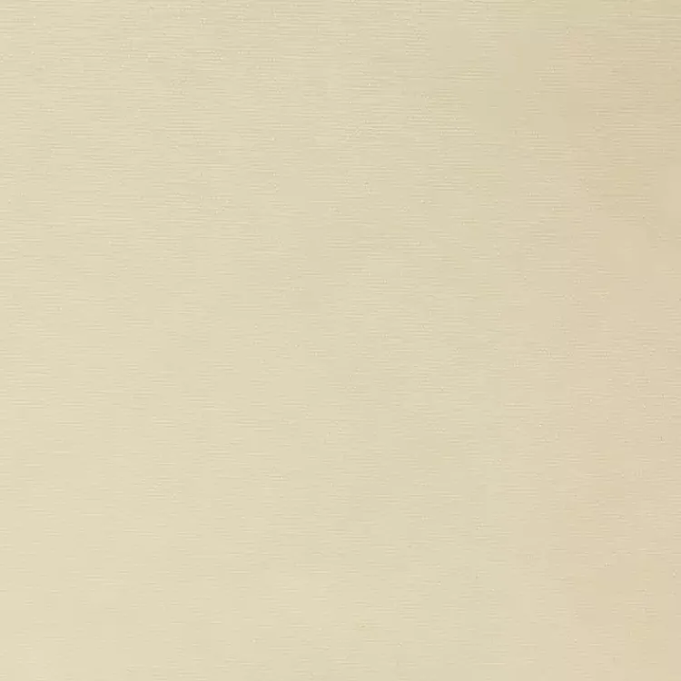Kirklands Home Cream Weathermate Blackout Curtain Panel, 63 in. Ivory Discount