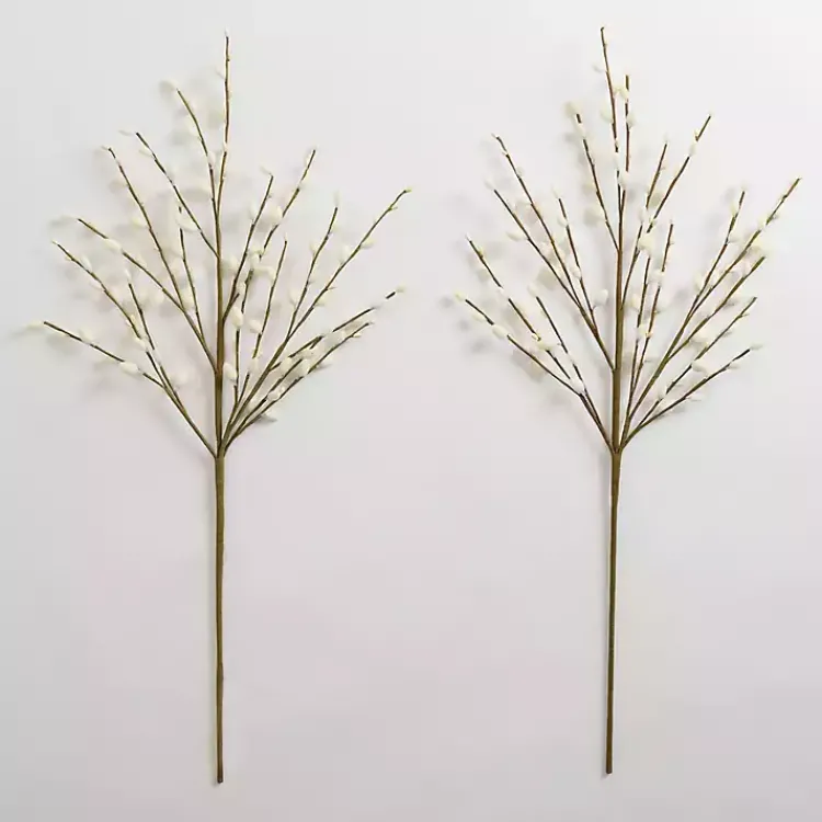 Stems & Bouquets>Kirklands Home Cream Willow Stems, Set of 2 Ivory