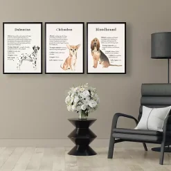 Kirklands Home Dalmation Facts Framed Wall Plaque Outlet
