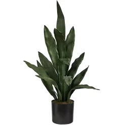 Arrangements & Greenery>Kirklands Home Dark Sansevieria in Nursery Planter, 24 in. Green