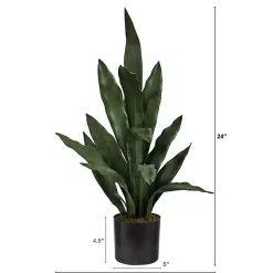 Arrangements & Greenery>Kirklands Home Dark Sansevieria in Nursery Planter, 24 in. Green