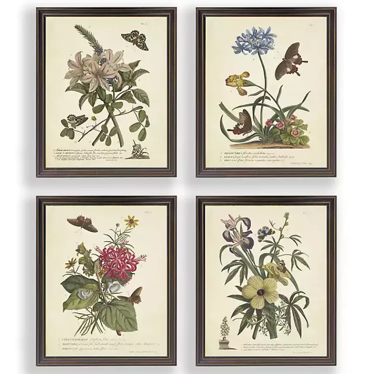 Kirklands Home Day Butterfly Blooms Framed Art Prints, Set of 4 Sale