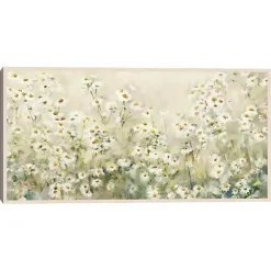 Kirklands Home Daytime Daises Framed Canvas Art Print New