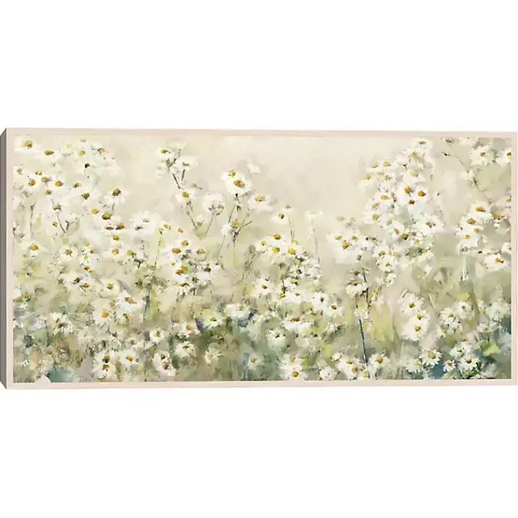 Kirklands Home Daytime Daises Framed Canvas Art Print New