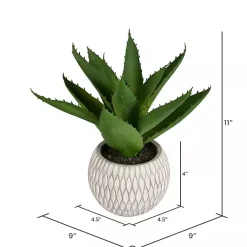 Arrangements & Greenery>Kirklands Home Deep Aloe Leaves in Ceramic Container Green