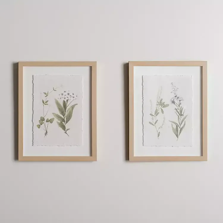 Kirklands Home Delicate Botanical Framed Art Prints, Set of 2 White Online