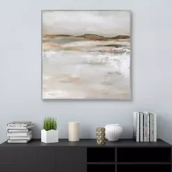 Kirklands Home Desert Floor Framed Canvas Art Print Gray Hot