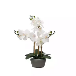 Arrangements & Greenery>Kirklands Home Desktop Orchid Arrangement in Gray Planter
