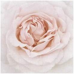 Kirklands Home Dewdrop Rose Canvas Art Print Pink Best