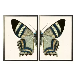 Kirklands Home Diptych Butterfly Framed Art Print, Set of 2