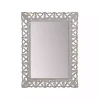 Kirklands Home Distressed Gray Botanical Rectangle Wall Mirror Outlet