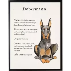 Kirklands Home Dobermann Facts Framed Wall Plaque Best