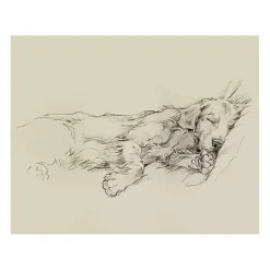 Kirklands Home Dog Days III Canvas Art Print Sale