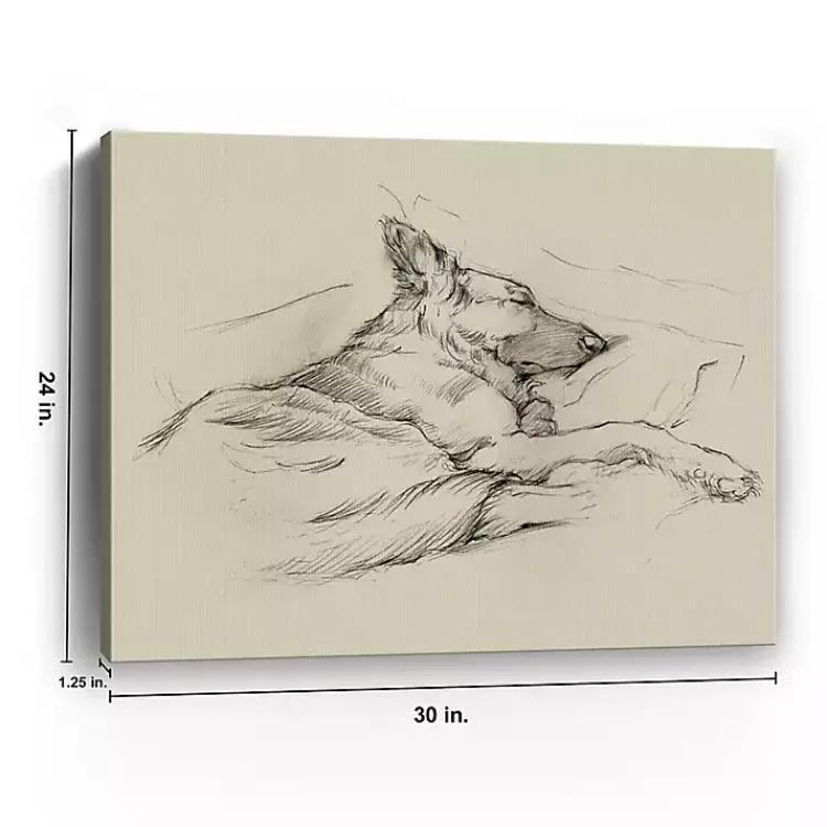 Kirklands Home Dog Days IV Canvas Art Print New