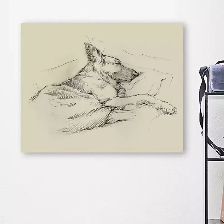 Kirklands Home Dog Days IV Canvas Art Print New