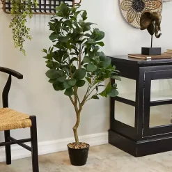 Trees & Topiaries><noscript><img width=