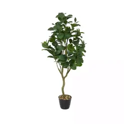 Trees & Topiaries><noscript><img width=