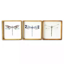 Kirklands Home Dragonfly Framed Art Prints, Set of 3 New