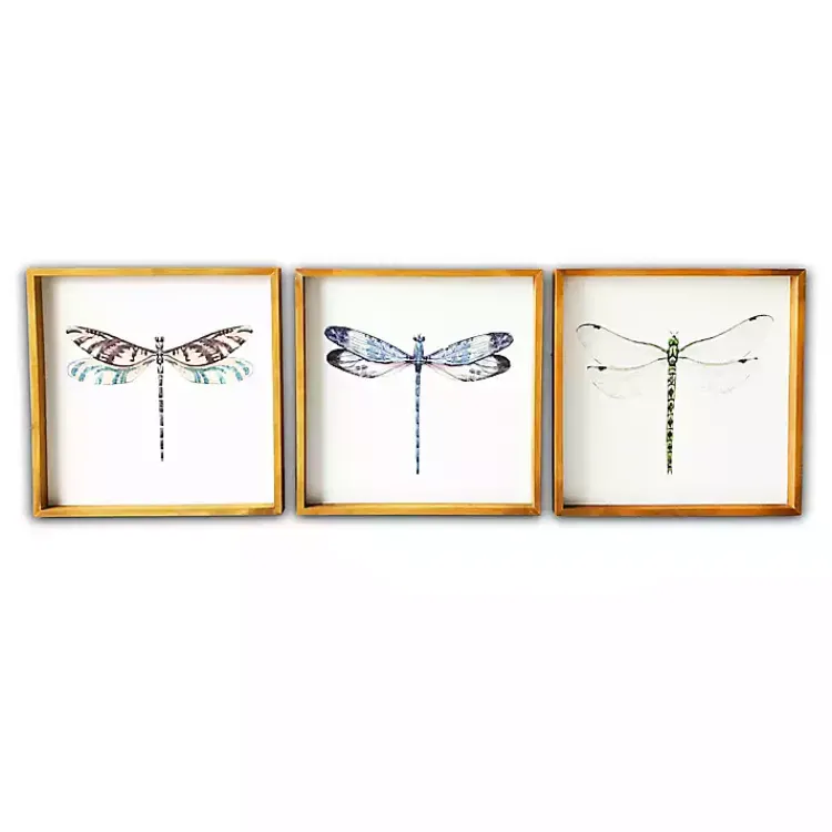 Kirklands Home Dragonfly Framed Art Prints, Set of 3 New