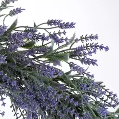 Wreaths><noscript><img width=