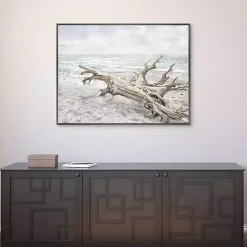 Kirklands Home Driftwood On The Beach Framed Canvas Art Print Multi New