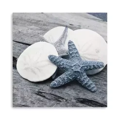 Kirklands Home Driftwood Shell IV Canvas Art Print, 30x30 in.