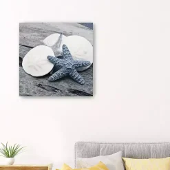 Kirklands Home Driftwood Shell IV Canvas Art Print, 30x30 in.