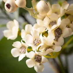 Wreaths>Kirklands Home Eucalyptus and Wax Flower Wreath