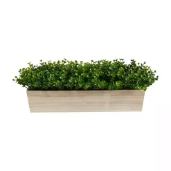 Arrangements & Greenery>Kirklands Home Eucalyptus Arrangement in Wide Wooden Planter
