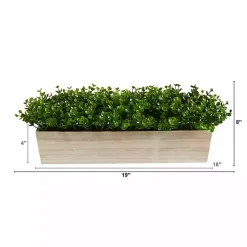 Arrangements & Greenery>Kirklands Home Eucalyptus Arrangement in Wide Wooden Planter