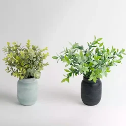 Arrangements & Greenery>Kirklands Home Eucalyptus Arrangements in Mason Jars, Set of 2 Green