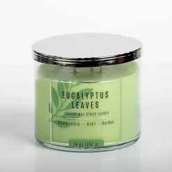 Candles>Kirklands Home Eucalyptus Leaves Triple Wick Jar Candle Green