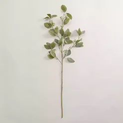Stems & Bouquets>Kirklands Home Eucalyptus Seeded Spray Green