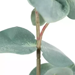Stems & Bouquets>Kirklands Home Eucalyptus Sprays, Set of 3 Green