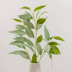 Stems & Bouquets>Kirklands Home Eucalyptus Sprays, Set of 2 Green