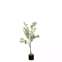 Trees & Topiaries>Kirklands Home Eucalyptus Tree in Black Pot, 4 ft.