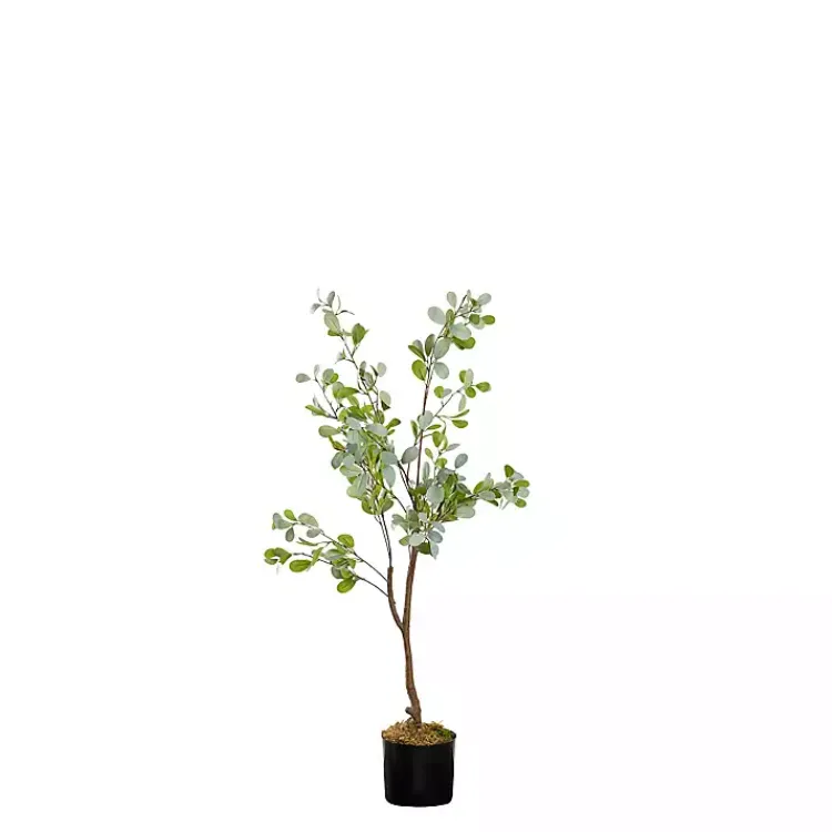 Trees & Topiaries>Kirklands Home Eucalyptus Tree in Black Pot, 4 ft.