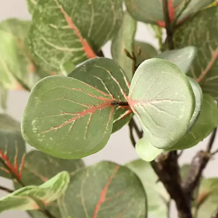 Trees & Topiaries>Kirklands Home Eucalyptus Tree in Pot on Stand