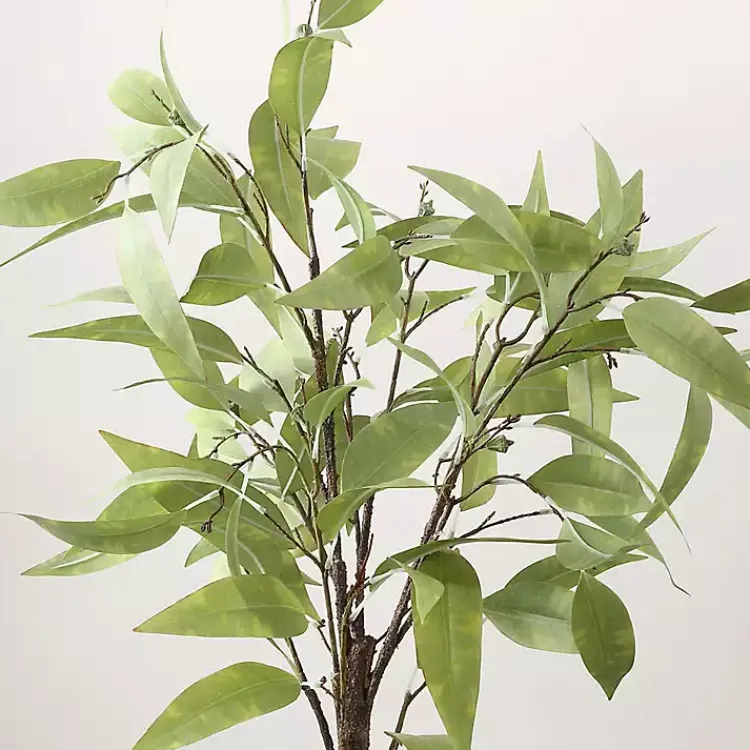 Trees & Topiaries>Kirklands Home Eucalyptus Tree in Stripped Pot