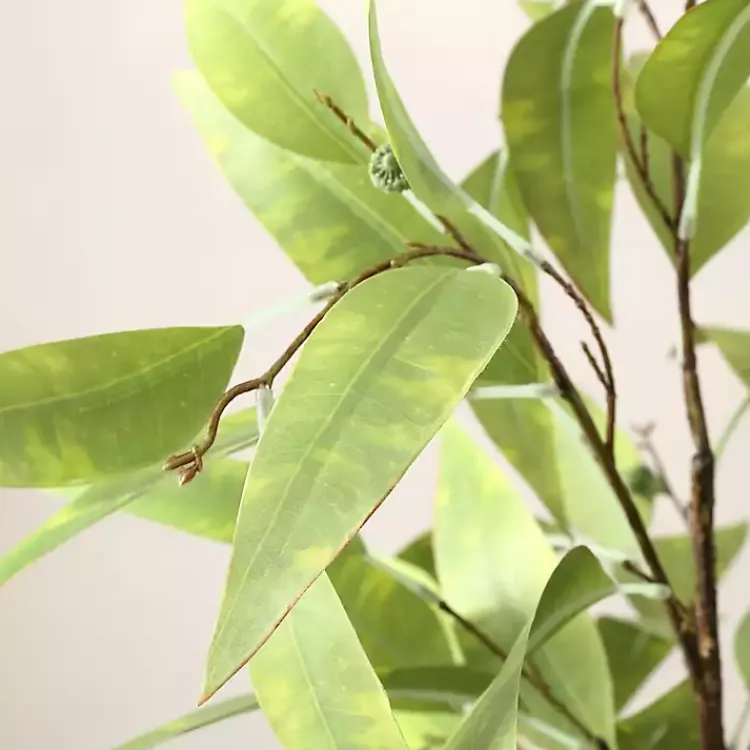 Trees & Topiaries>Kirklands Home Eucalyptus Tree in Stripped Pot