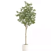 Trees & Topiaries>Kirklands Home Eucalyptus Tree in White Planter, 6 ft.