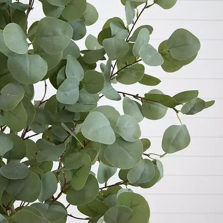 Trees & Topiaries>Kirklands Home Eucalyptus Tree in White Planter, 6 ft.