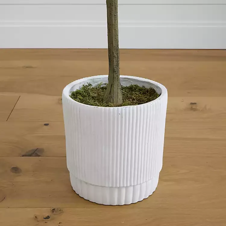 Trees & Topiaries>Kirklands Home Eucalyptus Tree in White Planter, 6 ft.
