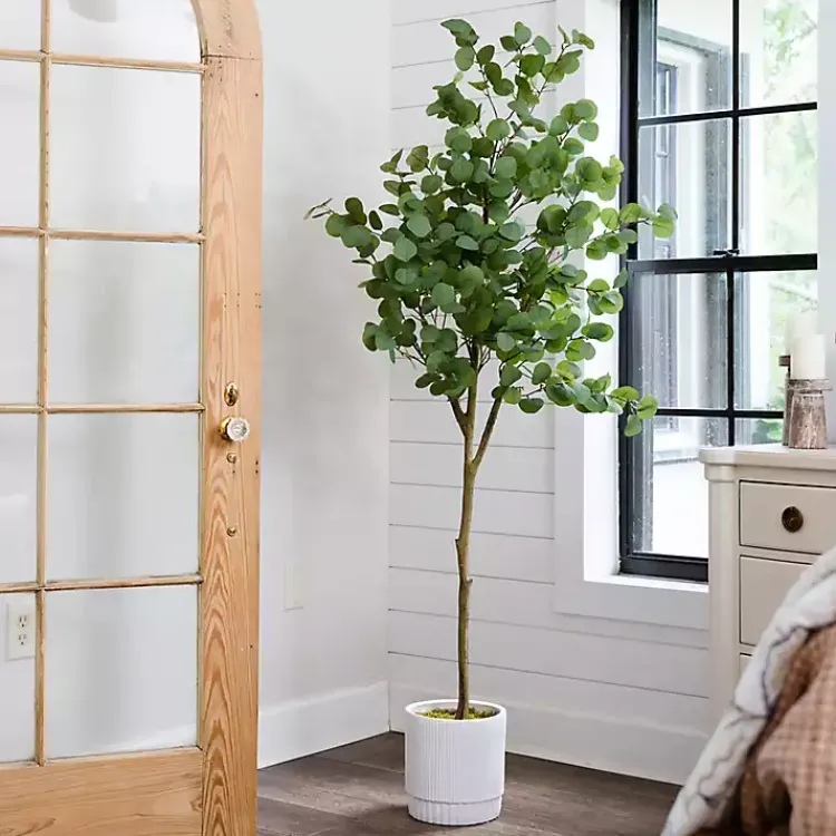 Trees & Topiaries>Kirklands Home Eucalyptus Tree in White Planter, 6 ft.