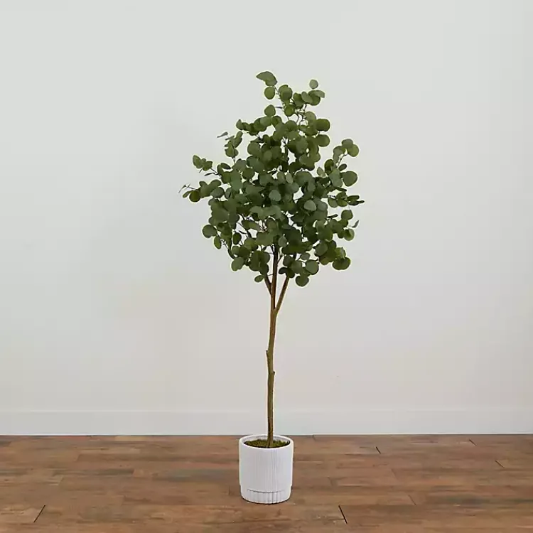 Trees & Topiaries>Kirklands Home Eucalyptus Tree in White Planter, 6 ft.